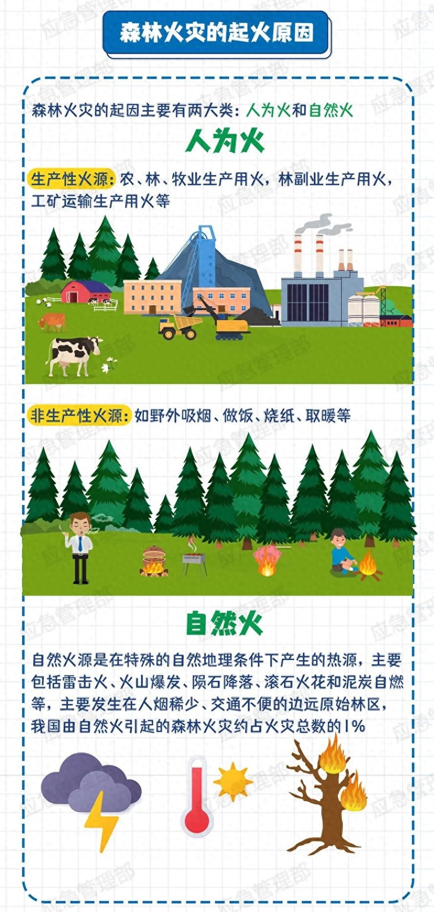 森林防火知识大揭秘！这些危害你知道吗？引发原因又有哪些？