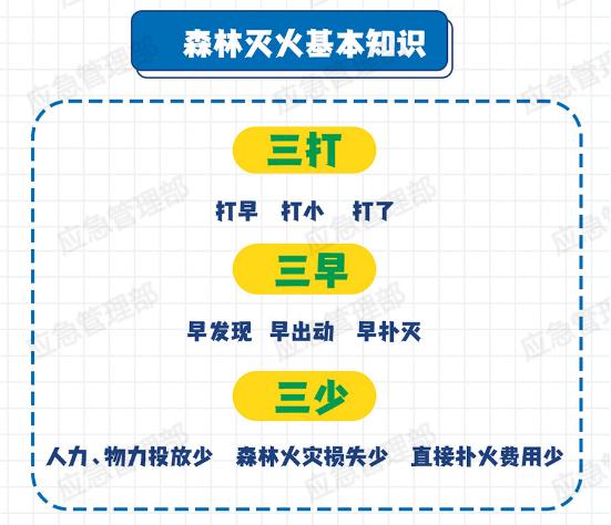 森林防火知识大揭秘！这些危害你知道吗？引发原因又有哪些？  第2张