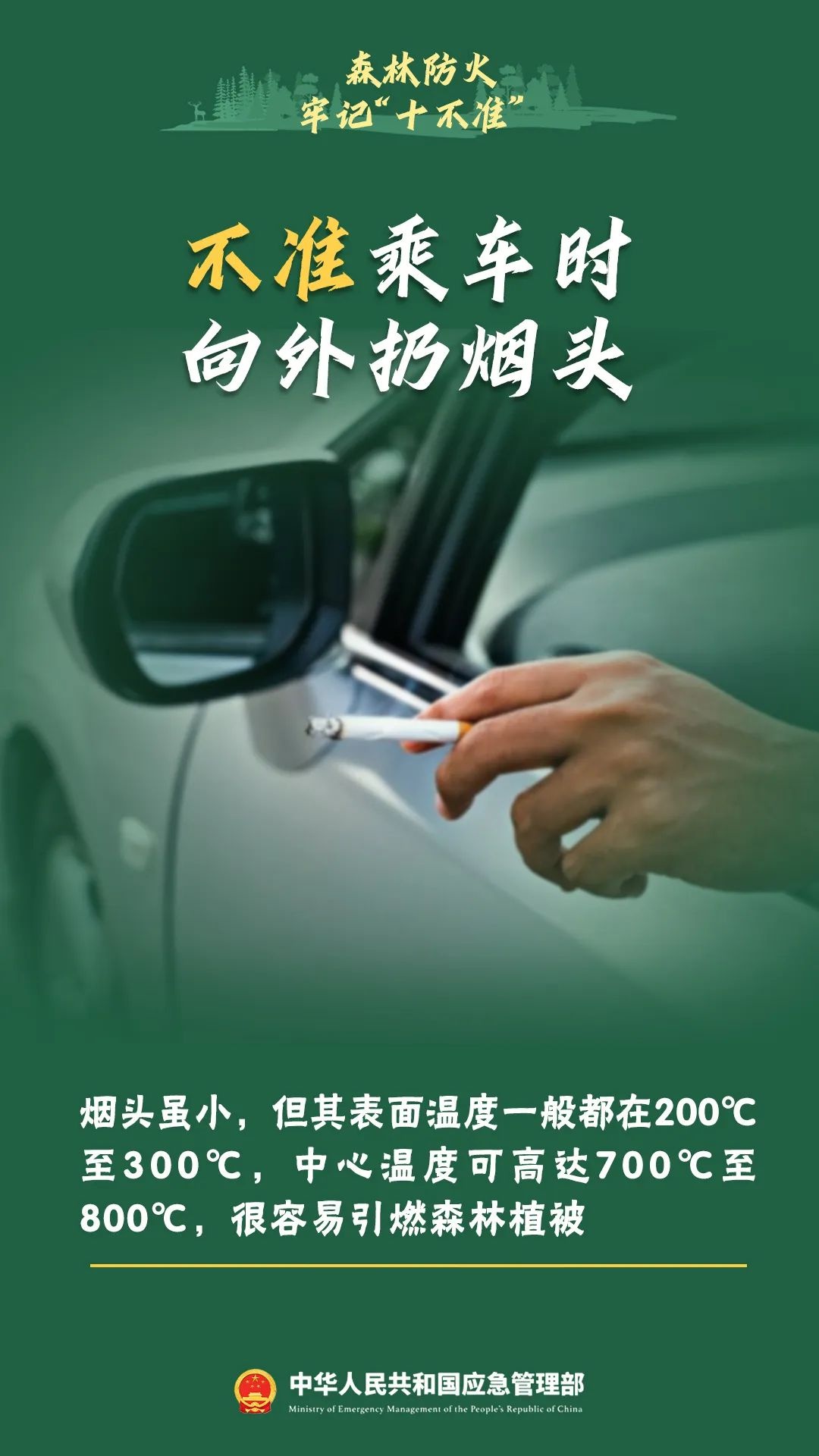 森林防火知识大揭秘！这些危害你知道吗？引发原因又有哪些？  第11张