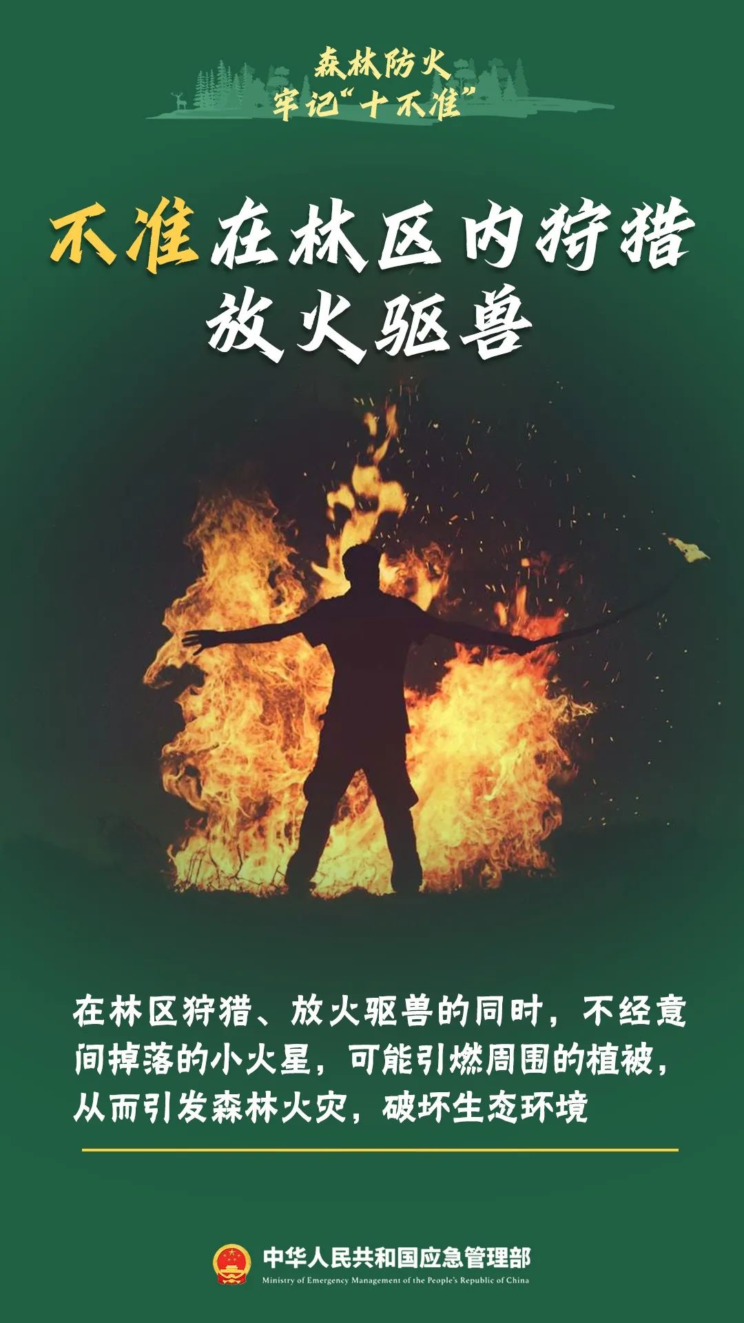 森林防火知识大揭秘！这些危害你知道吗？引发原因又有哪些？  第12张
