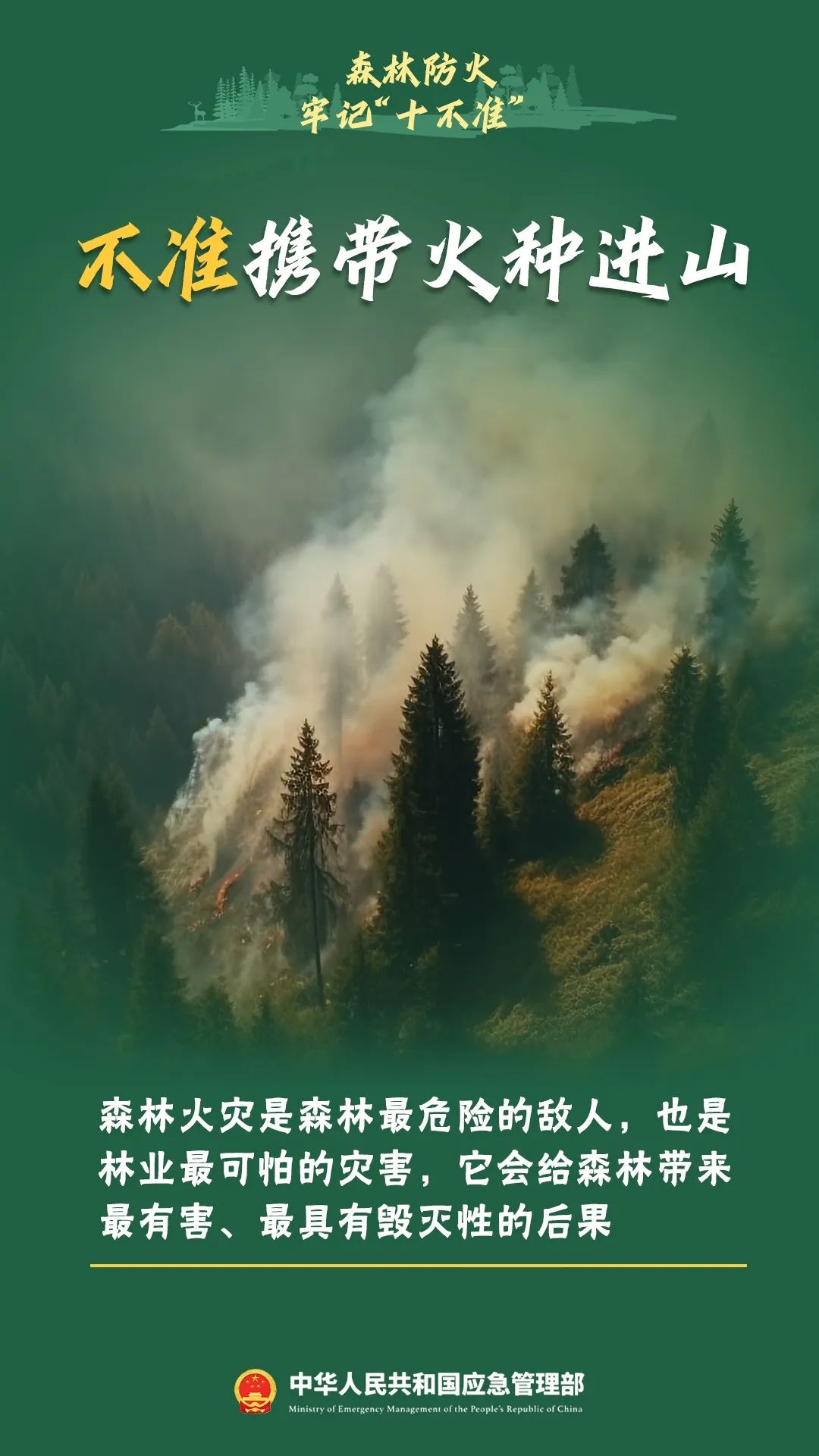 森林防火知识大揭秘！这些危害你知道吗？引发原因又有哪些？  第4张