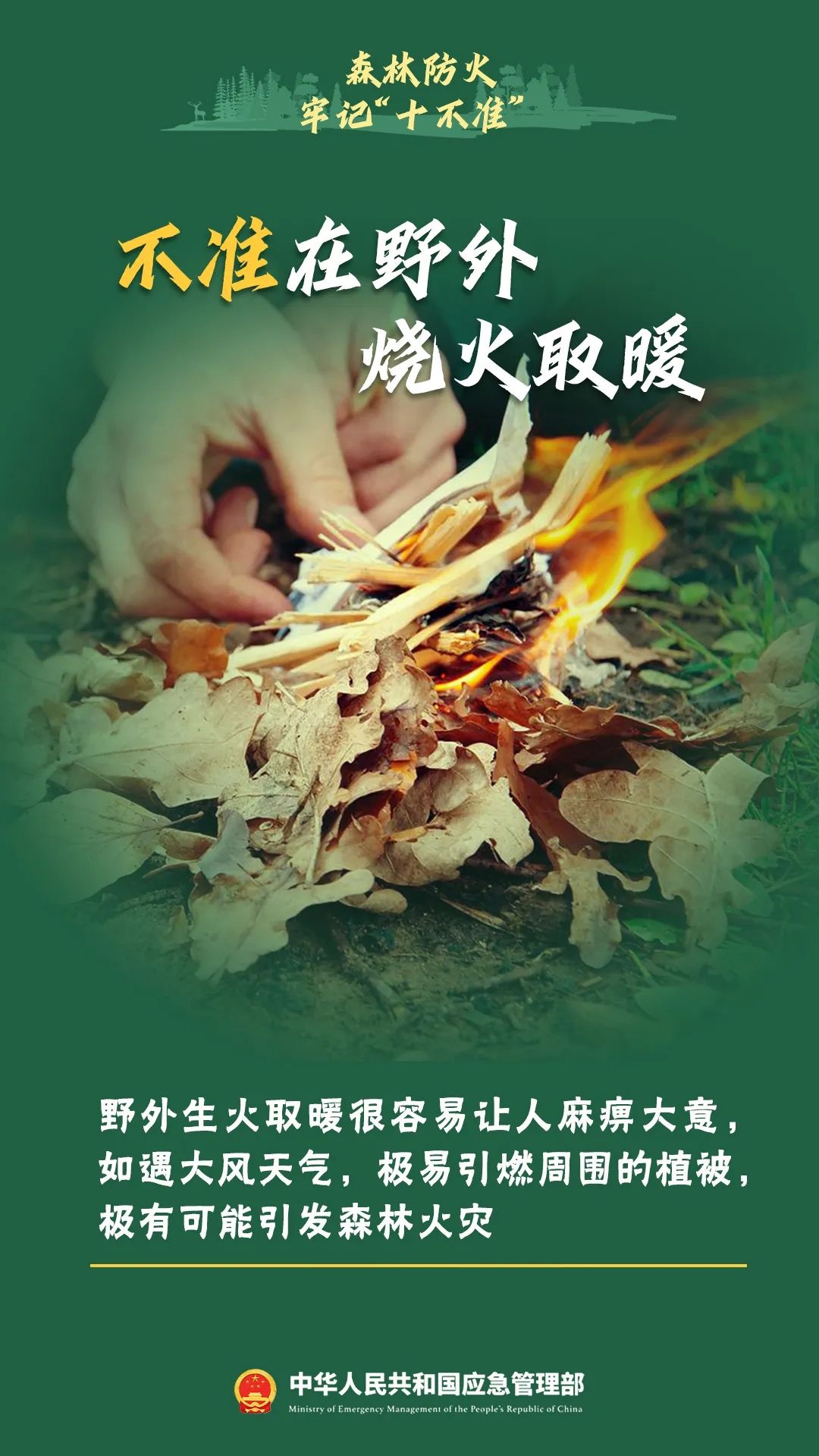 森林防火知识大揭秘！这些危害你知道吗？引发原因又有哪些？  第5张