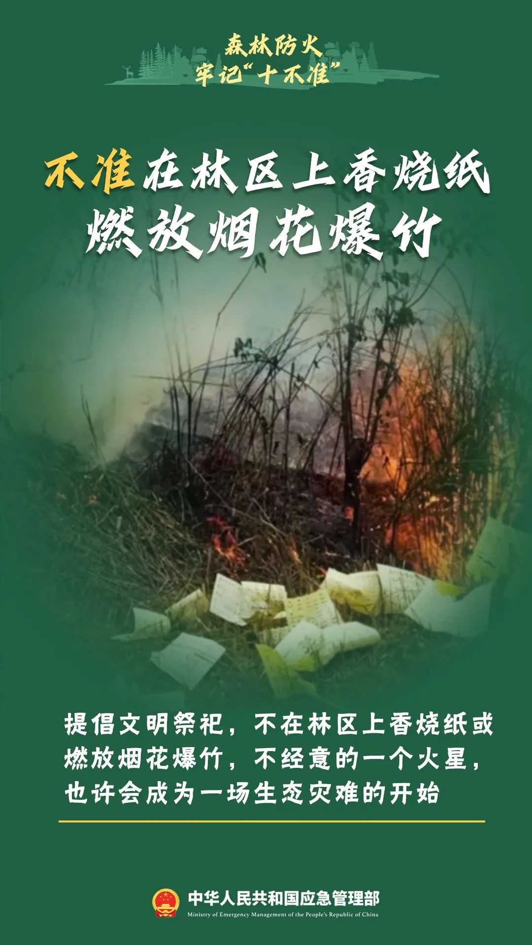 森林防火知识大揭秘！这些危害你知道吗？引发原因又有哪些？  第8张