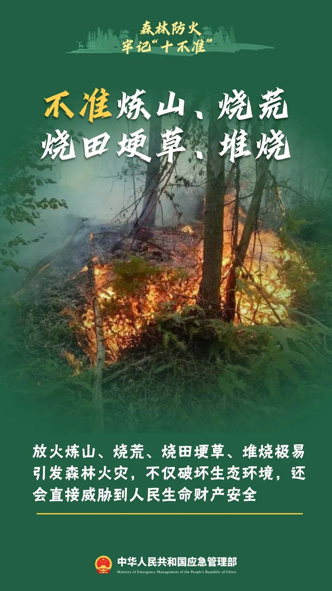 森林防火知识大揭秘！这些危害你知道吗？引发原因又有哪些？  第9张