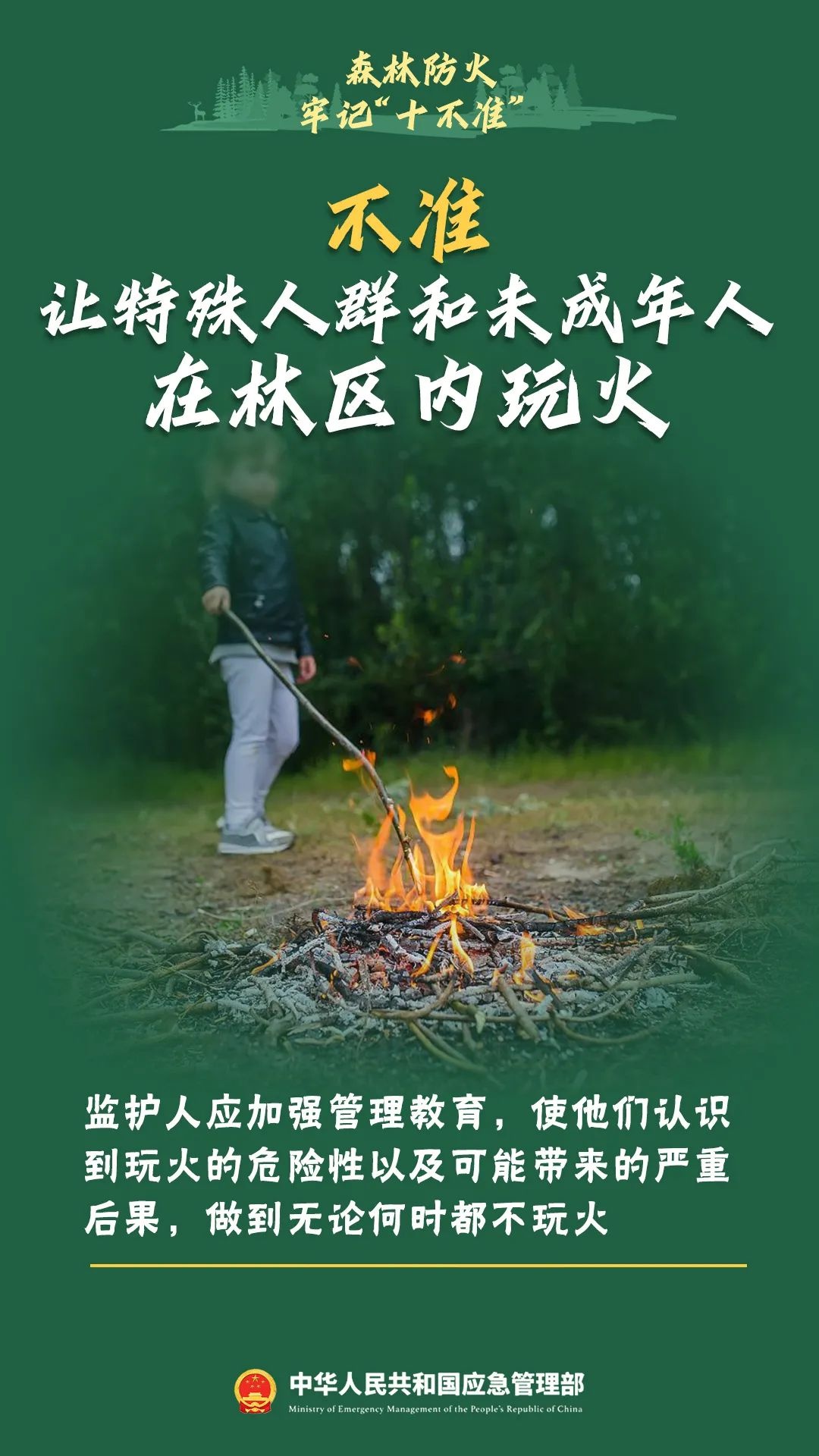 森林防火知识大揭秘！这些危害你知道吗？引发原因又有哪些？  第10张