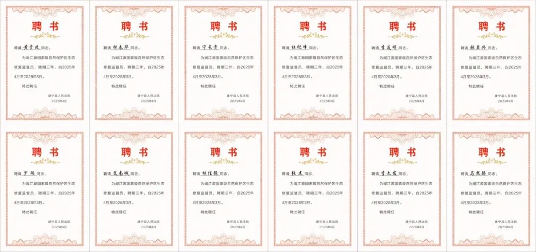 建宁法院出台重磅意见！12名生态修复监督员如何筑牢万顷青山防线？  第2张