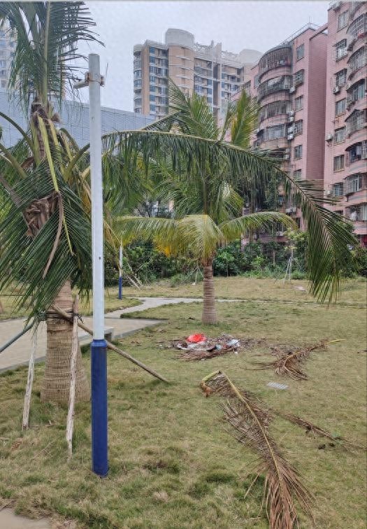 海口龙岐绿地公园为何建好两年仍未开放？内部环境令人  第1张