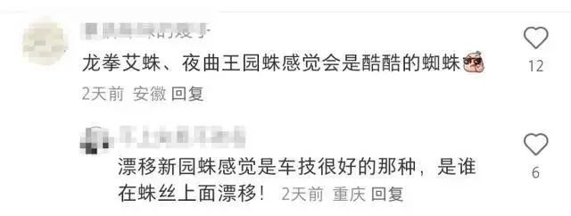 周杰伦歌曲命名16种新蜘蛛！科学家为何如此痴迷音乐与自然的结合？  第3张