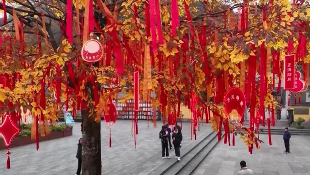 台州府城冬日新装：冰雪小屋与黄金许愿树，你准备好打卡了吗？  第2张