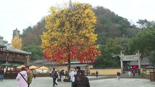台州府城冬日新装：冰雪小屋与黄金许愿树，你准备好打卡了吗？  第3张