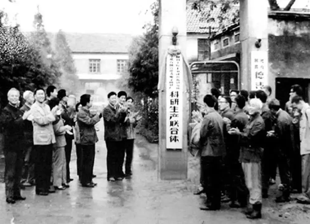 德清模式40年：小县城如何从烧砖头到烧晶体，引领新时代科技创新？  第2张