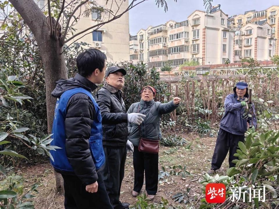 小区树木遮天蔽日，居民苦不堪言！物业终于出手了，你家阳光回来了吗？  第3张