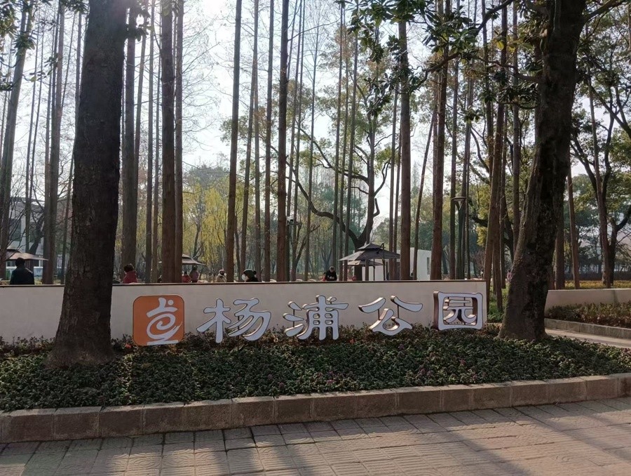 67岁杨浦公园拆墙透绿，无界公园如何重塑城市绿洲？