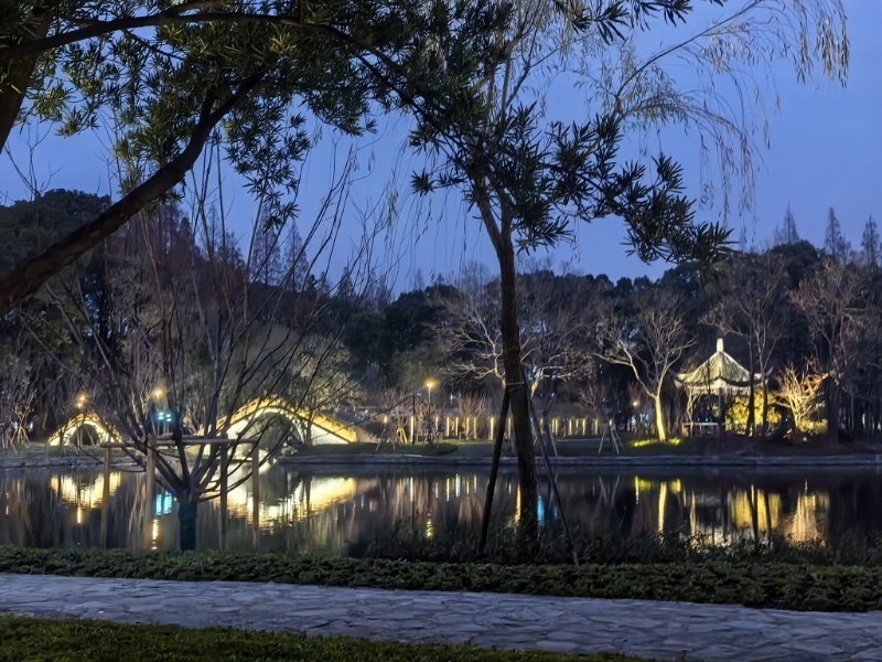 67岁杨浦公园拆墙透绿，无界公园如何重塑城市绿洲？  第5张