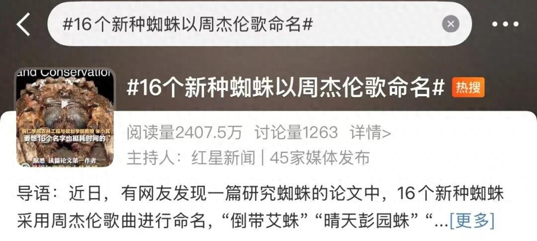 周杰伦的歌曲竟然成了16种新蜘蛛的名字！这些蜘蛛你认识吗？