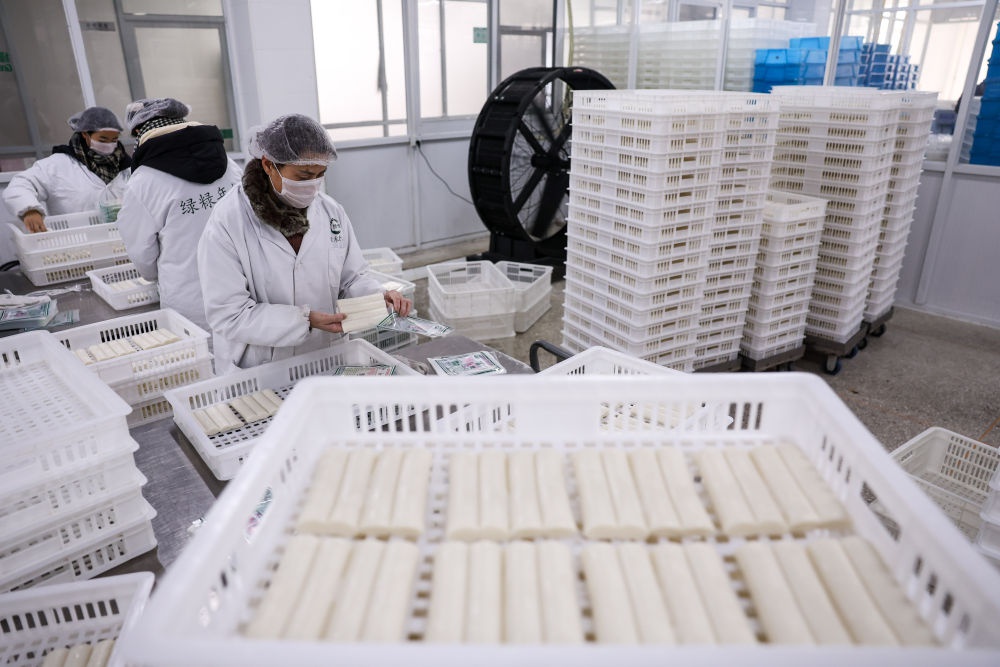 宁波慈城年糕产业火爆！传统美食如何成为冬日经济新引擎？  第5张