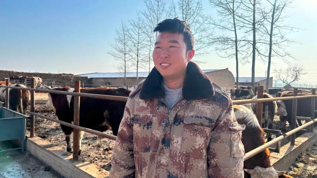 靖远县北湾镇中堡村如何通过肉牛养殖实现乡村振兴？揭秘五大坪养殖场的成功秘诀  第3张