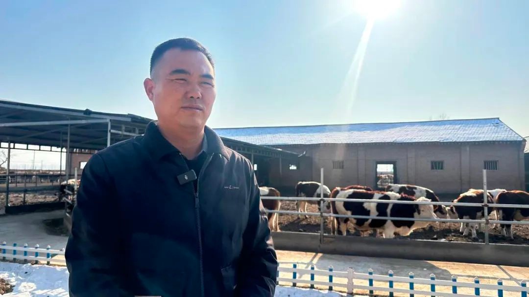 靖远县北湾镇中堡村如何通过肉牛养殖实现乡村振兴？揭秘五大坪养殖场的成功秘诀  第6张