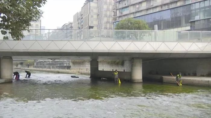 寒冬中，他们为何在冰冷的河水中坚守？揭秘南明河清澈背后的无名英雄  第2张