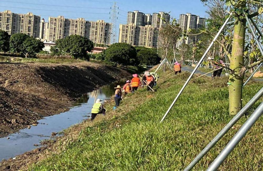 增城清淤工作提前超额完成！他们是如何做到的？
