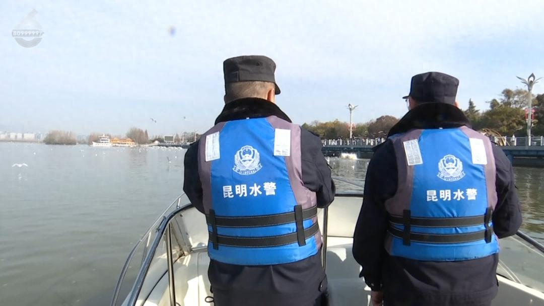 海鸥警长苏鸿祥：36年守护滇池红嘴鸥，你见过这样的警察吗？  第1张