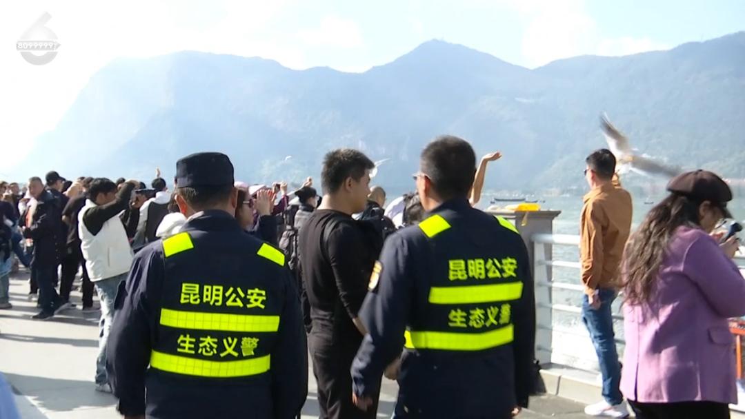 海鸥警长苏鸿祥：36年守护滇池红嘴鸥，你见过这样的警察吗？  第5张