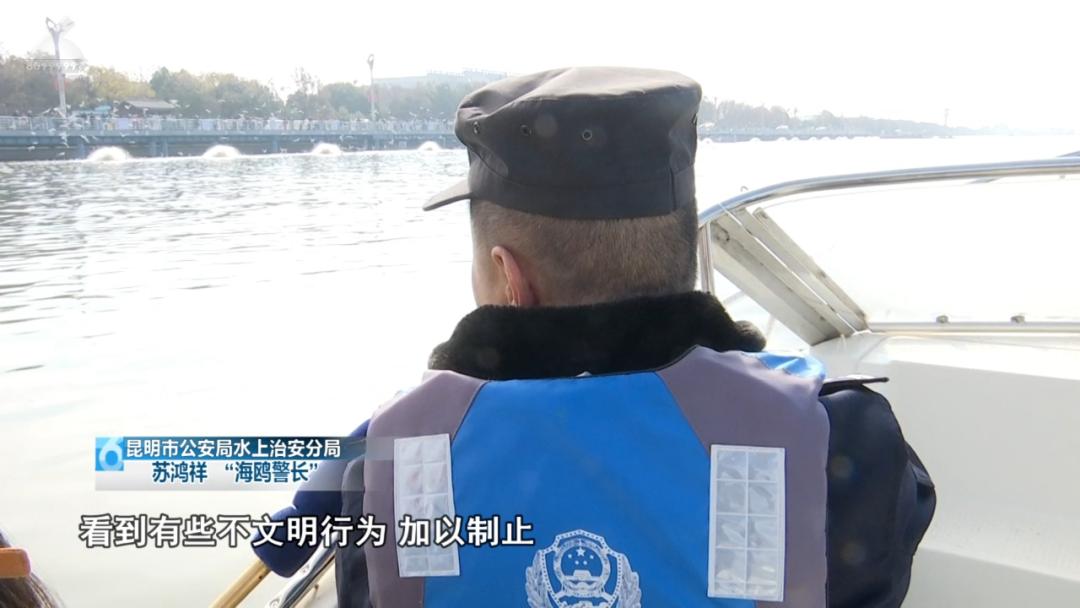 海鸥警长苏鸿祥：36年守护滇池红嘴鸥，你见过这样的警察吗？  第7张