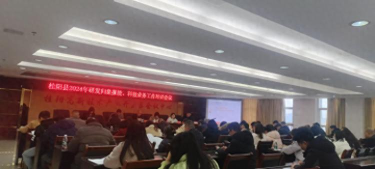桂阳县科技创新大动作！2024年企业研发投入将如何改变桂阳经济？  第1张