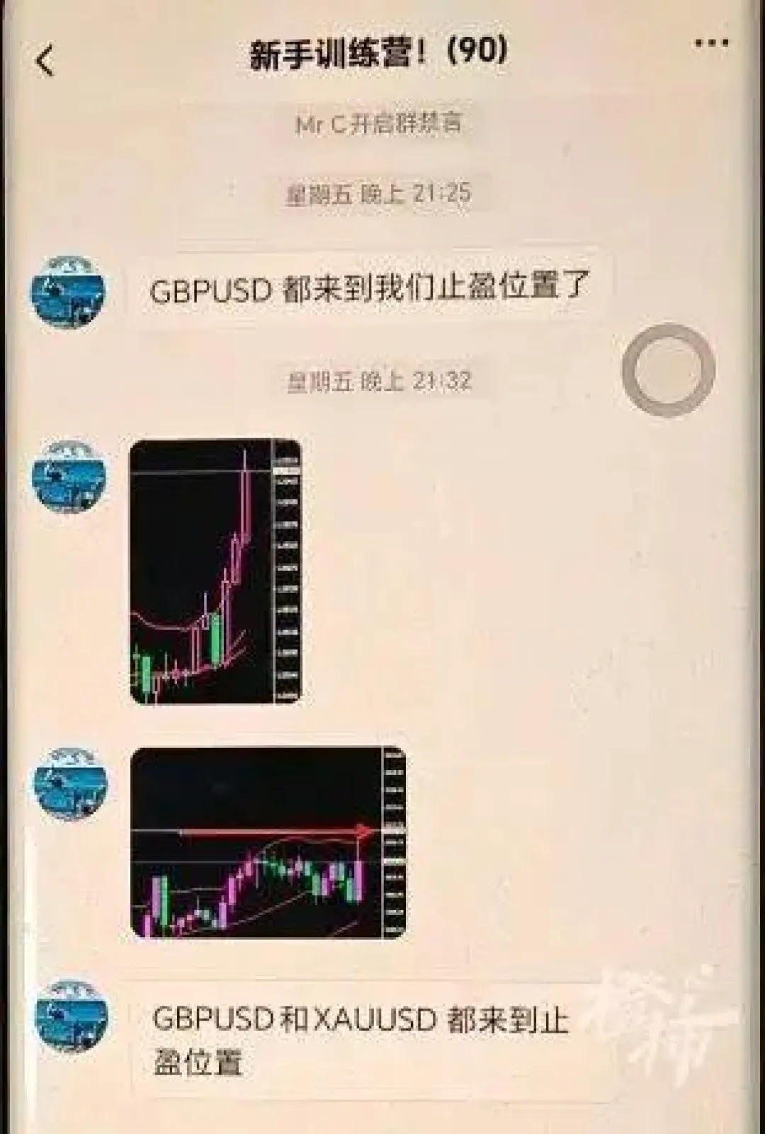 家庭主妇小红如何智斗网络骗子，成功保住老头的别墅？  第2张