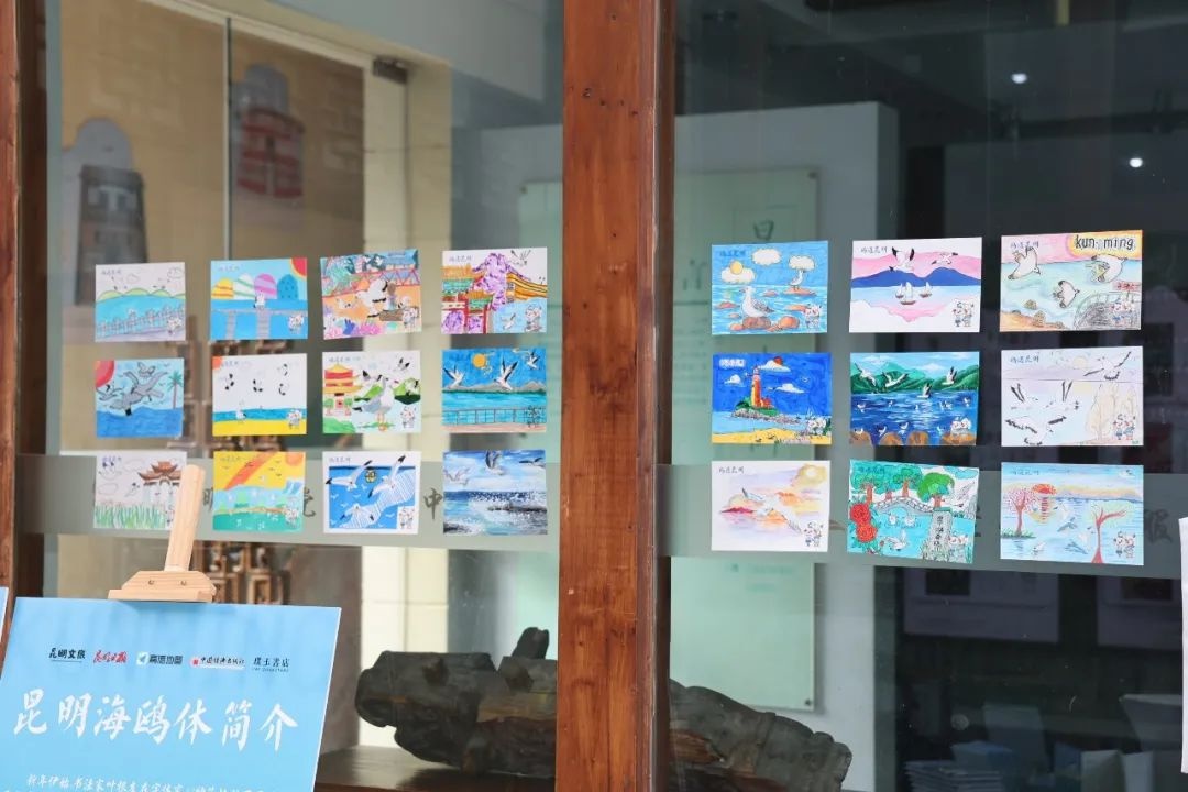 昆明海鸥体：40年人鸥和谐故事如何融入汉字？揭秘字体背后的独特魅力  第5张