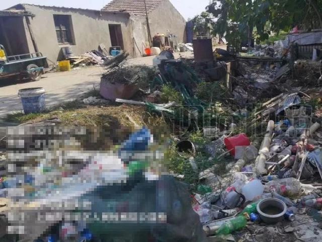 崇明检察如何用公益诉讼破解环境治理难题？揭秘背后的社会治理智慧  第2张