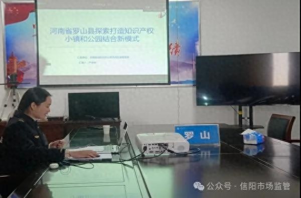 罗山县如何从180个县中脱颖而出，成为国家知识产权强县建设试点县？