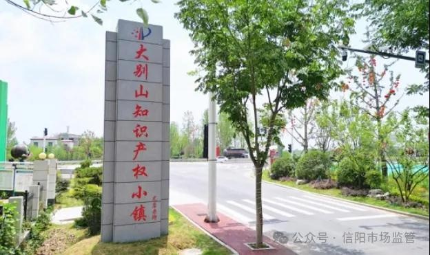 罗山县如何从180个县中脱颖而出，成为国家知识产权强县建设试点县？  第2张