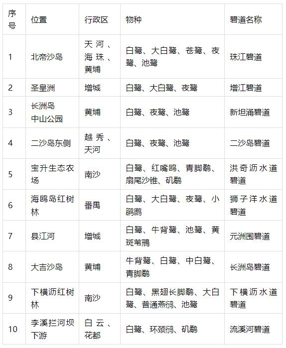 广州珠江惊现165种鸟类！你见过被称为鸟中大熊猫的黑鹳吗？  第3张