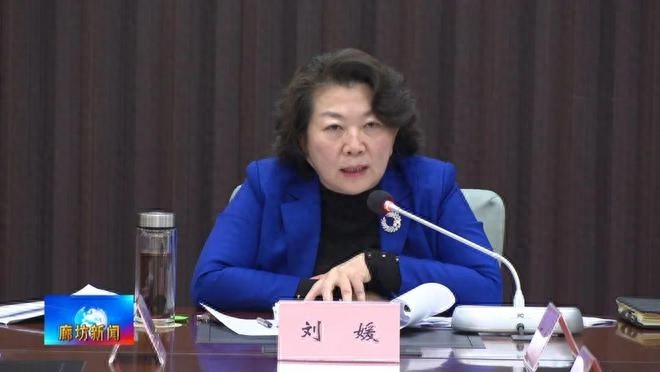 2025年廊坊国际年货节即将开启！市长刘媛亲自部署，打造全球年货盛宴