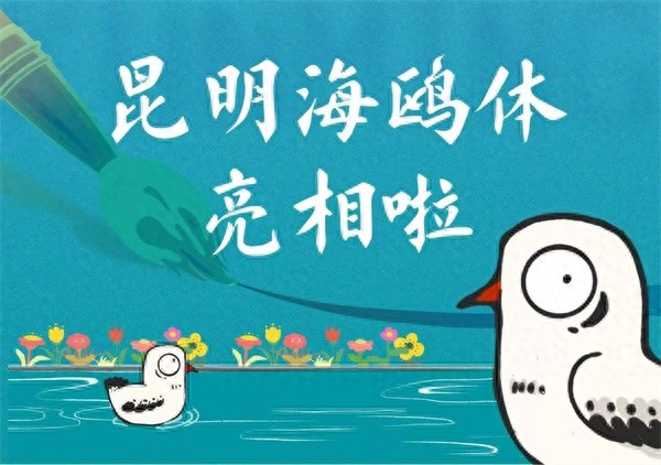 全国首款城市定制字体！昆明海鸥体发布，6763个汉字免费使用，你心动了吗？  第1张