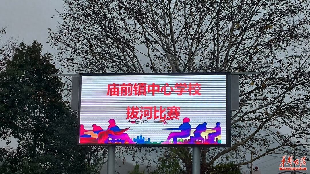 师生拔河比赛激烈上演，谁将拔得头筹？2402班、2301班、2202班脱颖而出