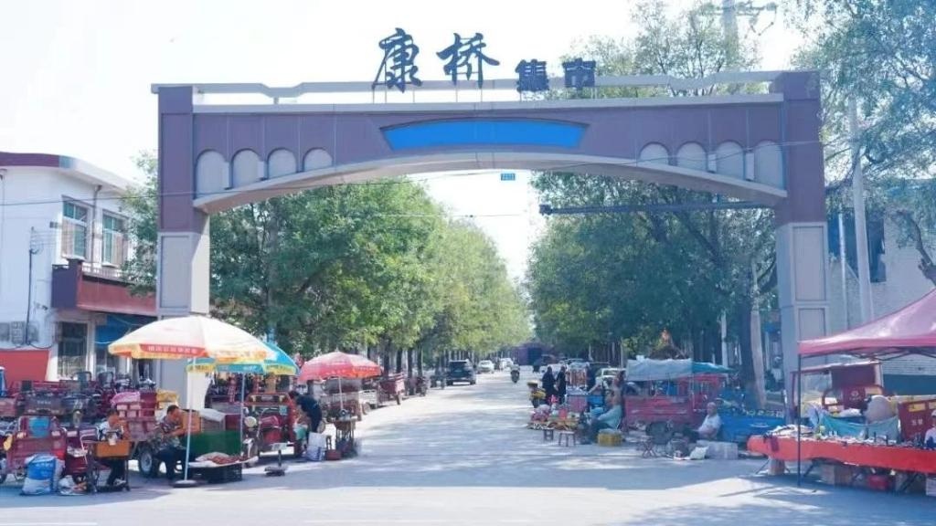 西安乡村如何从破旧泥泞到现代化农业产业园？揭秘七步和美工作法的神奇力量  第2张