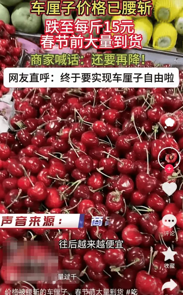 惊!车厘子曾是水果界爱马仕如今滞销喂猪?真假难辨!