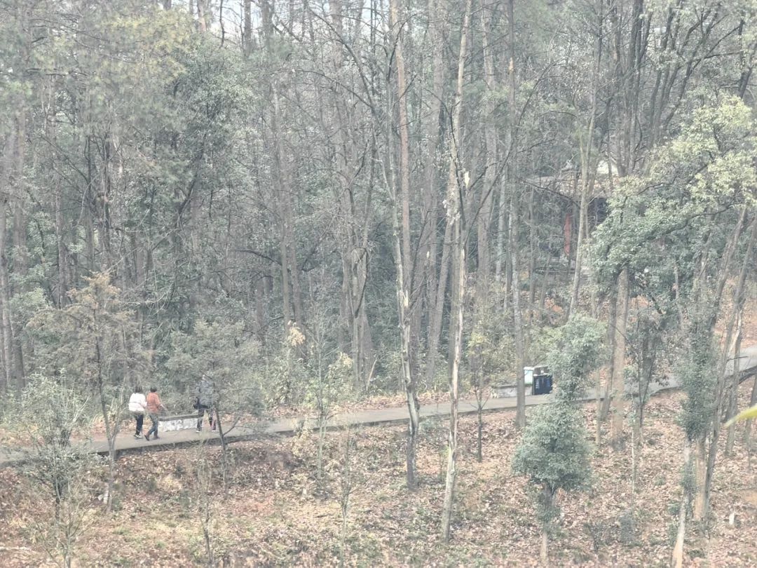 飘细雨妙高山体育公园仍人头攒动? 来探原因!  第4张