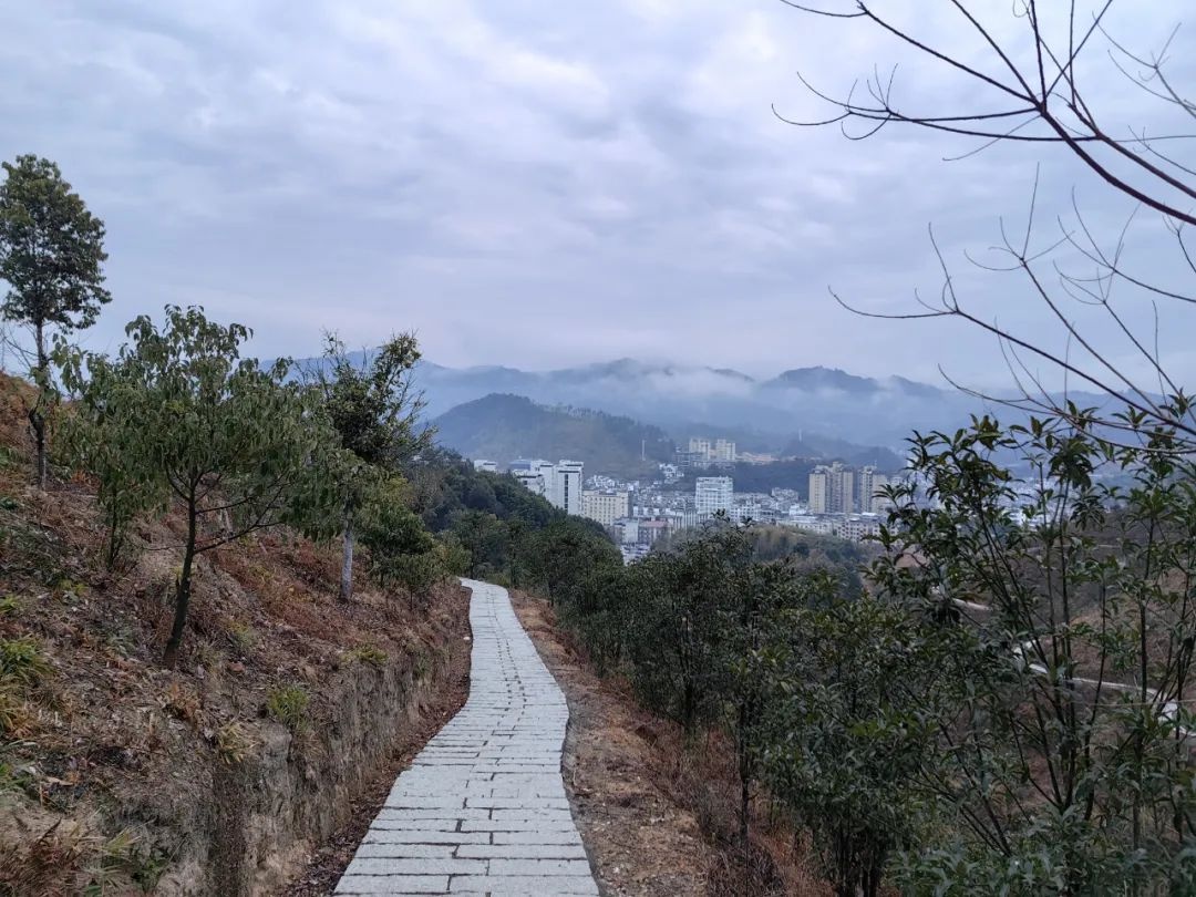 飘细雨妙高山体育公园仍人头攒动? 来探原因!  第5张