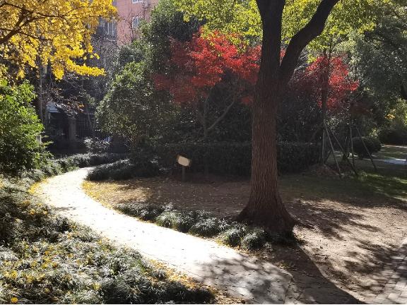 航华邻里中心旁绿地大变身！口袋公园如何做到的？  第3张