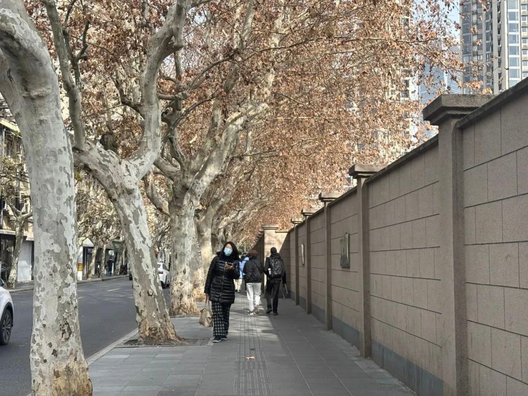 受冷空气影响申城转晴！但风大需注意啥？