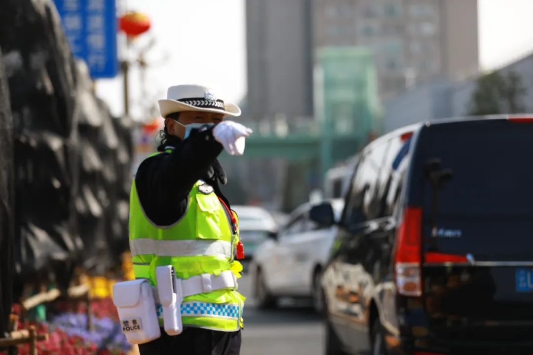 春节假期将尽大理站仍人潮汹涌！8万余人次！民警如何应对？  第5张