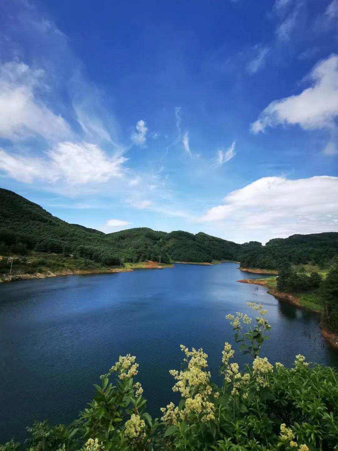 泉乡华宁湿地竟有这么多功能！您知道吗？  第1张