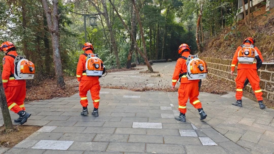 春节期间森林安全如何保障？保山市森林消防这样做  第8张