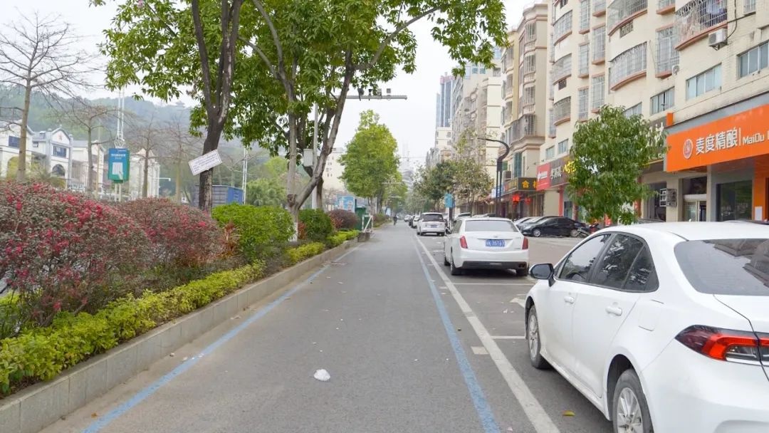 市区违停现象反弹，你的爱车安全吗？  第11张