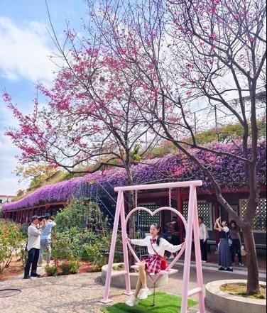 广州花海正盛，你准备好迎接这场视觉盛宴了吗？  第2张