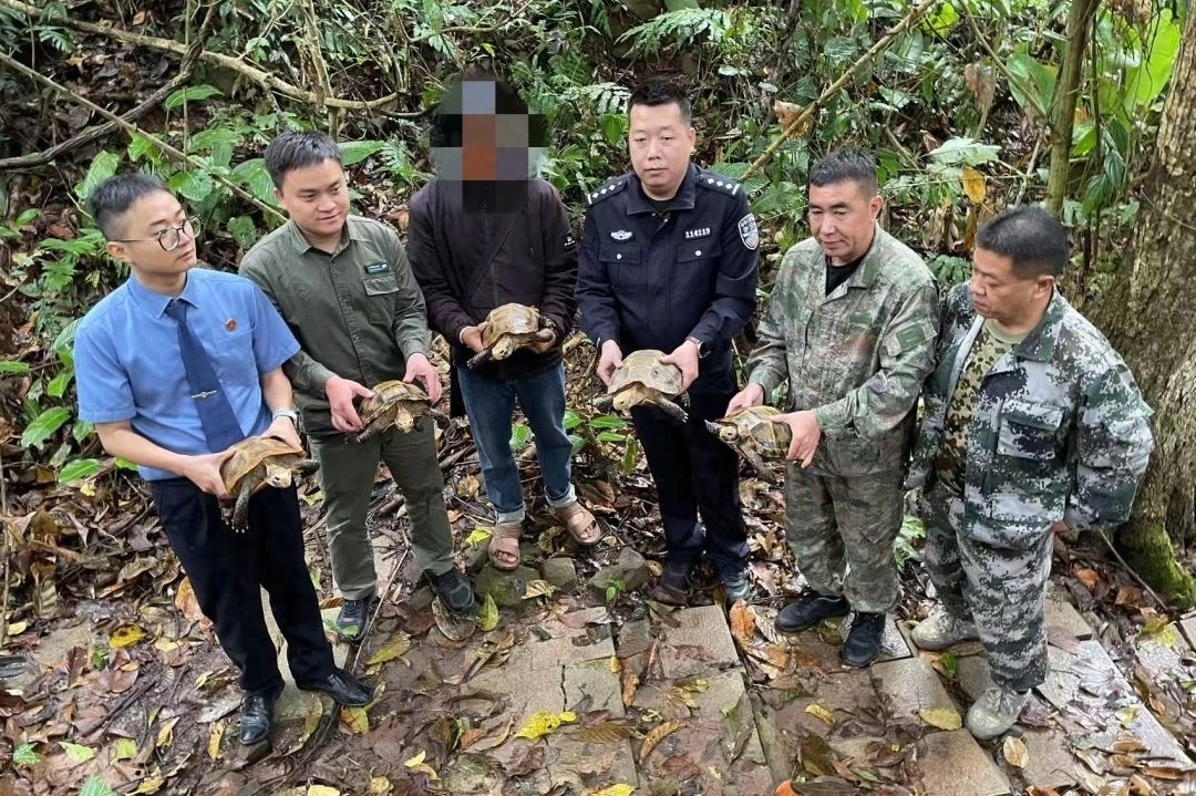 西双版纳惊现神秘绚丽乌龟，竟是国家一级保护动物！你见过吗？