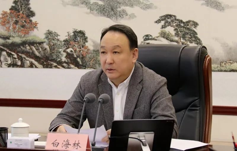 阿拉善盟如何筑牢安全底线？白海林提出三大关键措施